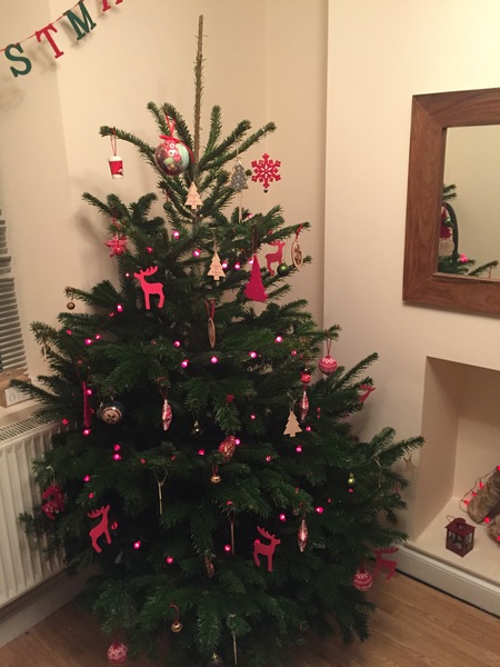 Show Us Your TREES!