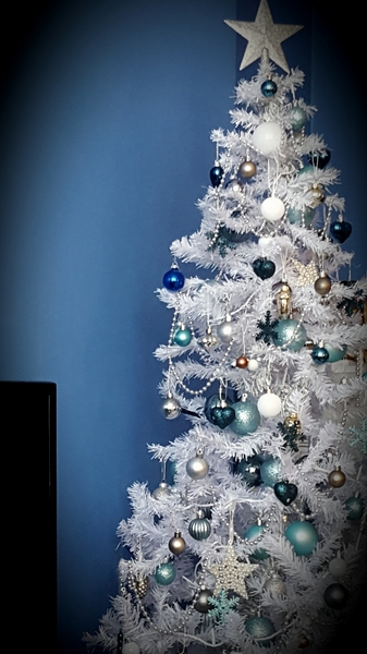 Show Us Your TREES!