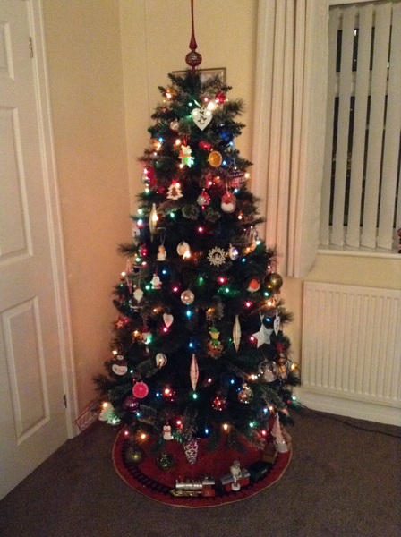 Show Us Your TREES!