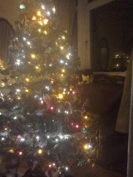 Show Us Your TREES!