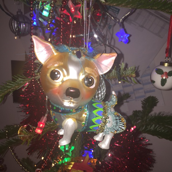 AIBU to feel my Christmas tree is making my house look tacky?