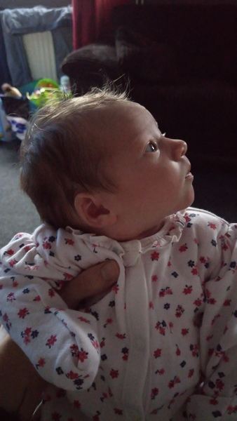 The final December 2016 thread?