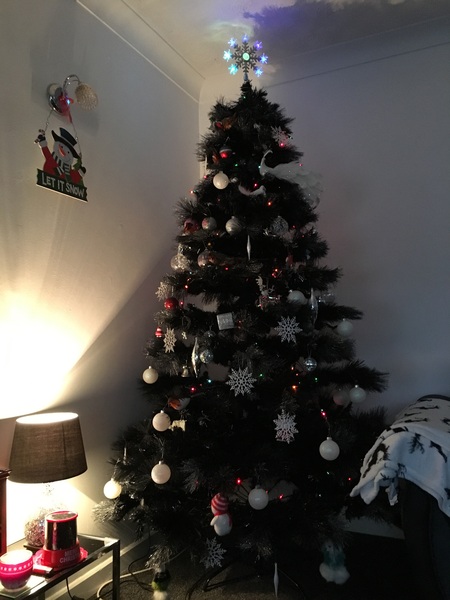 Show Us Your TREES!