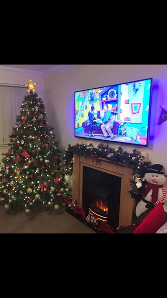 Show Us Your TREES!