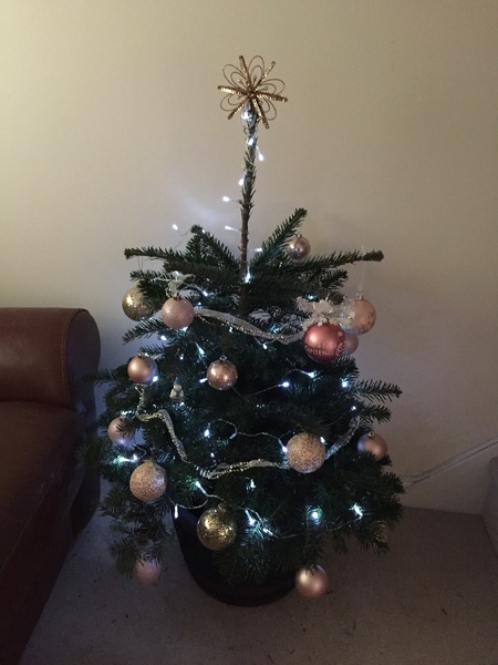 To be angry and upset with dp over Christmas tree?