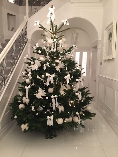 Show Us Your TREES!