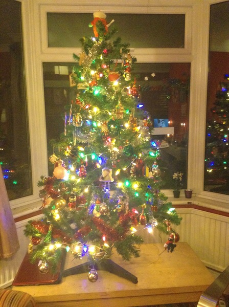 Show Us Your TREES!