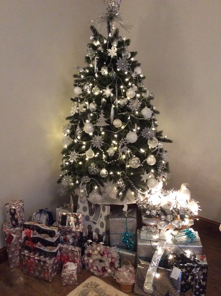 Show Us Your TREES!