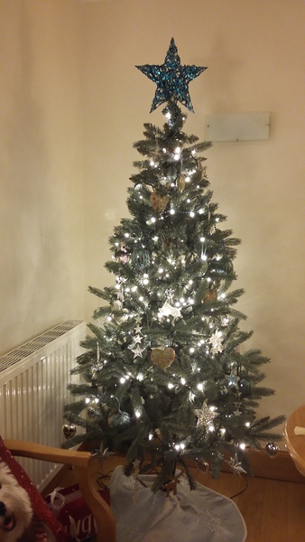 Show Us Your TREES!