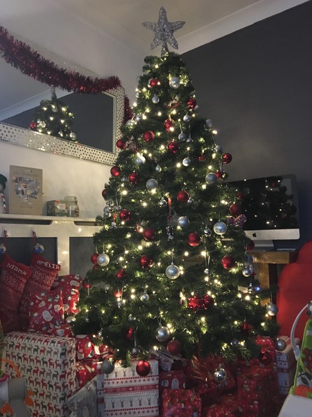 Show Us Your TREES!
