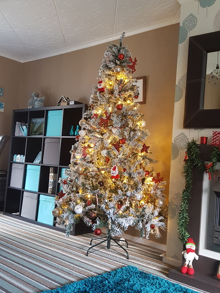 Show Us Your TREES!