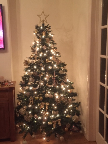 Show Us Your TREES!