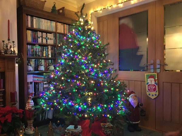 Show Us Your TREES!
