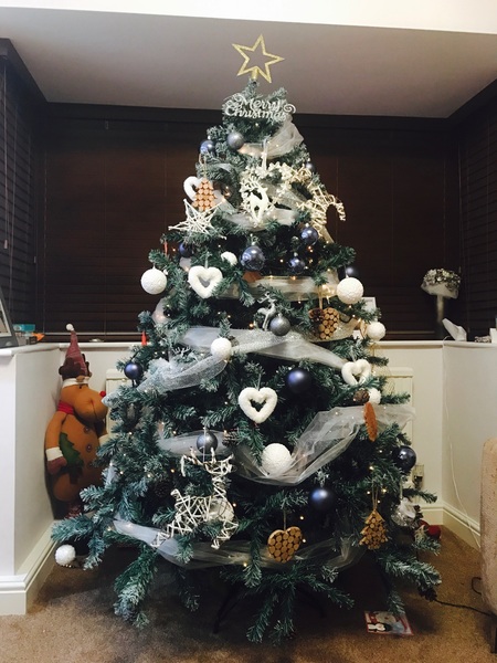 Show Us Your TREES!