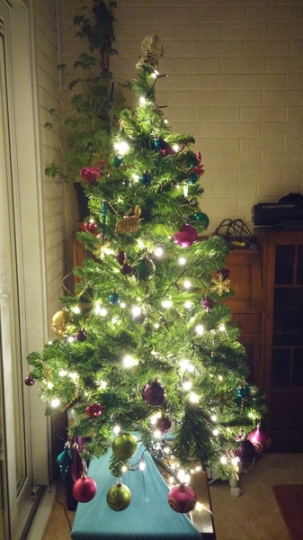 Show Us Your TREES!