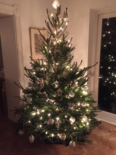 Do you have a themed tree or an 'anything goes' tree?