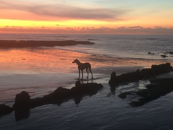 Brave Babes...braving the Autumn