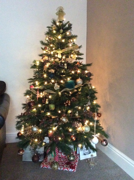 Show Us Your TREES!