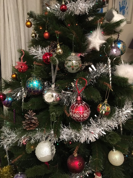 Show Us Your TREES!