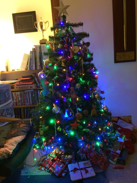 Show Us Your TREES!