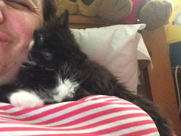 We have accidentally  a 5 weeks old kitten