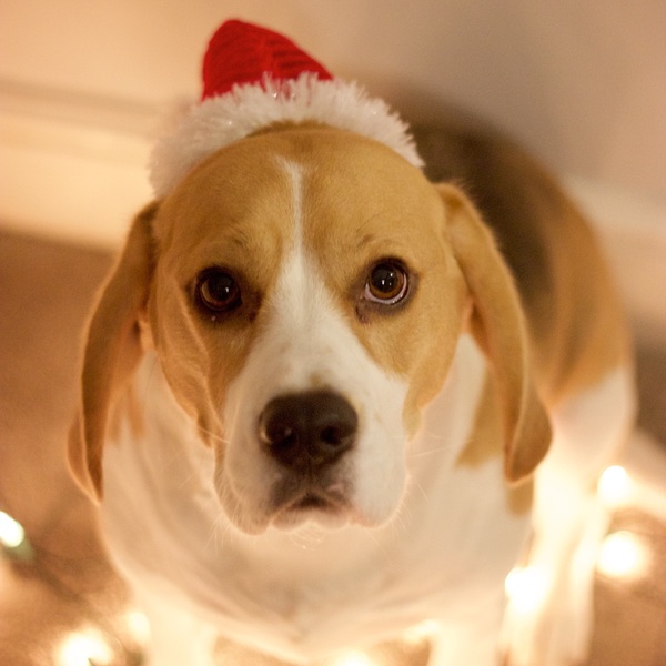 Thread 13. TTC #1 Grads. Some of us still remember that thing called "a full nights sleep" for most, it's a mere memory.