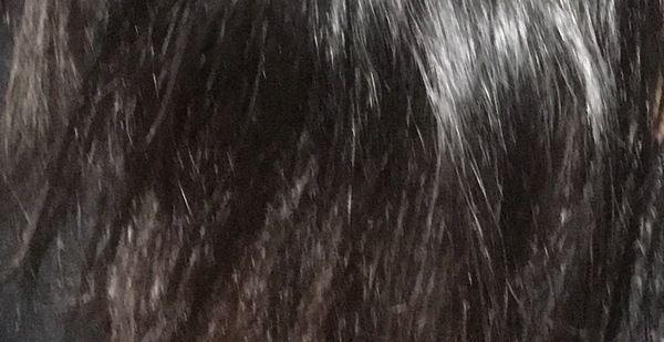 Hair disaster - please advise