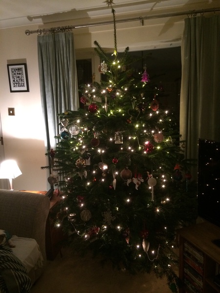 Show Us Your TREES!