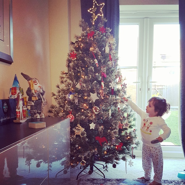 Show Us Your TREES!