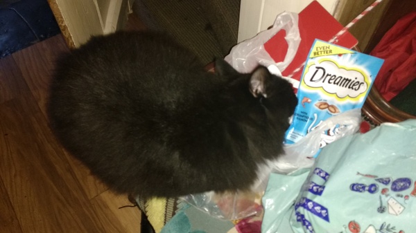 Mr C Christmas stocking