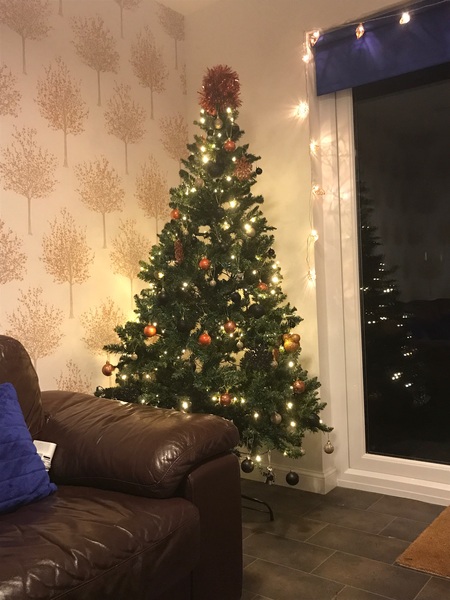 Show Us Your TREES!