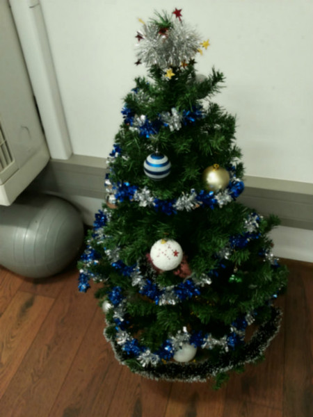 Show Us Your TREES!