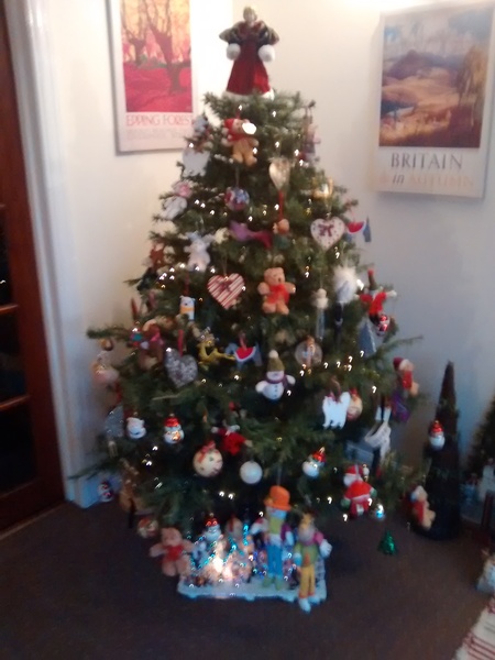 Show Us Your TREES!