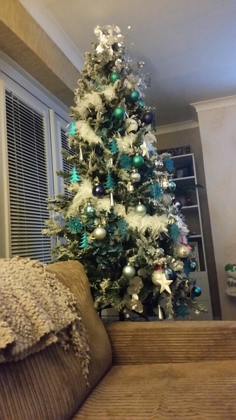 Show Us Your TREES!