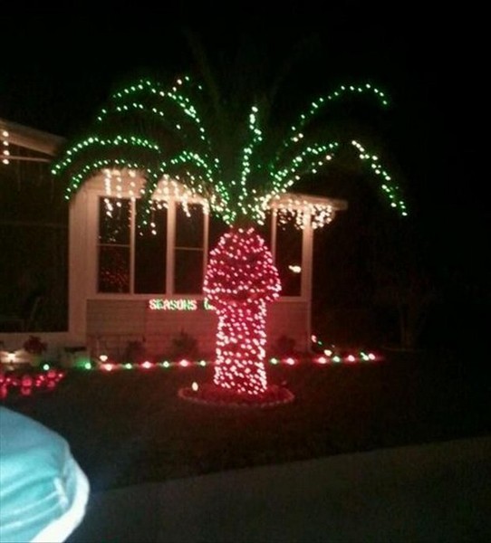 Christmas lights and the neighbours
