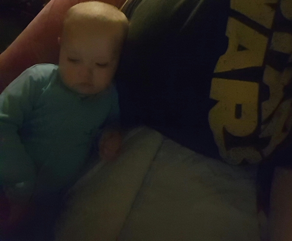 Zombie's Journey - A Wedding, A Final Christmas and Planning for a Wake