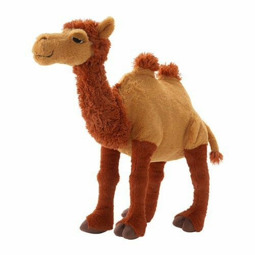 So I twitched. And bought a camel.