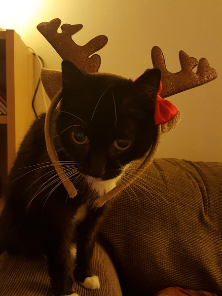 Merry Christmas and thank you