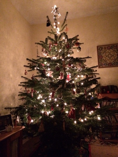 Show Us Your TREES!