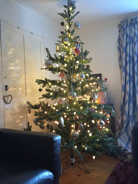 Show Us Your TREES!