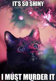 PuffinCat's first Christmas