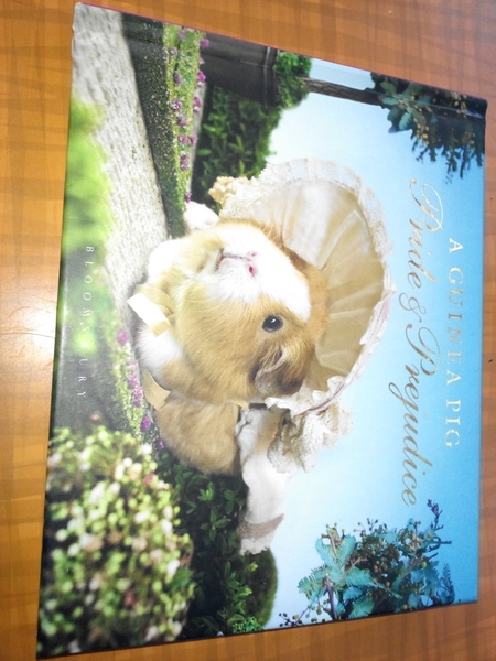 'Furstive Wheekings'!