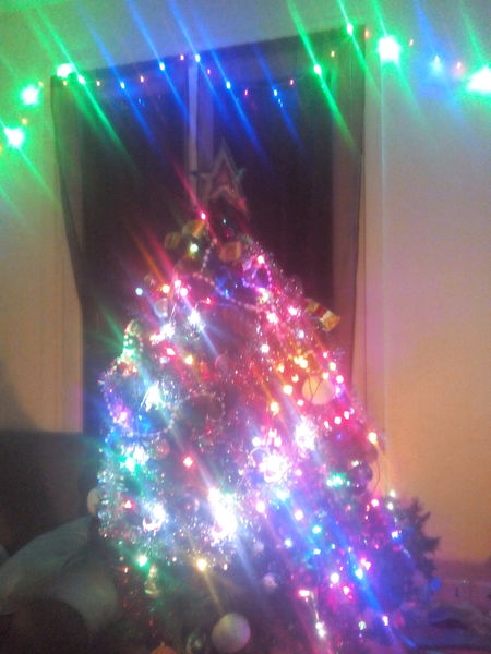 Show Us Your TREES!