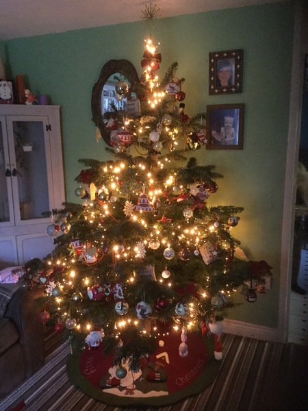 Show Us Your TREES!