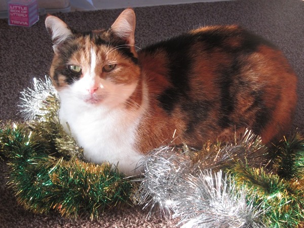 Swagger Inn 140 - Where The Musketeers shout "We've come for your wenches" and The Wenches shout "Okay!"