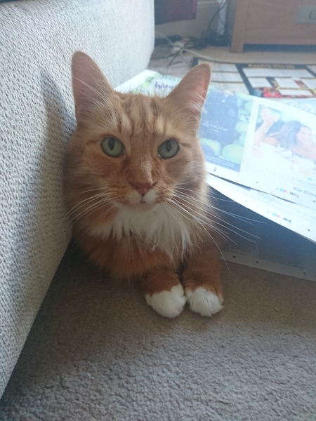 blood sugar diet thread 5