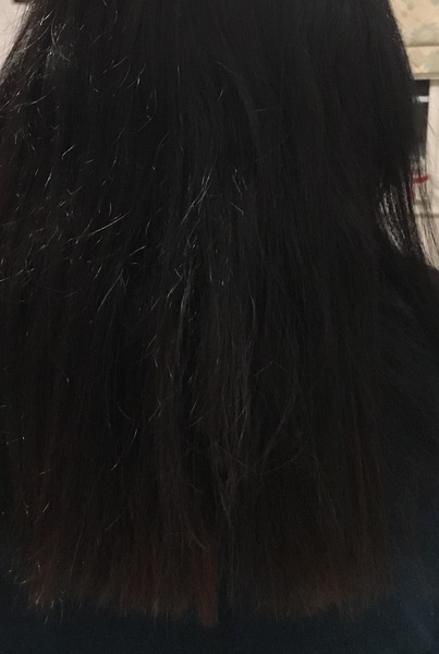 Hair disaster - please advise
