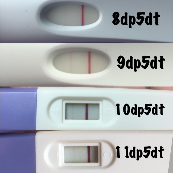 IVF Cycle buddies November/December