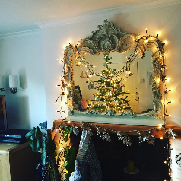 Show Us Your TREES!