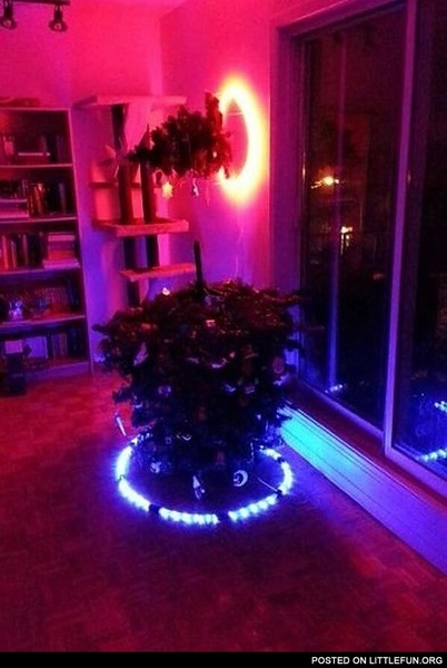 How much of a prat am I going to look if I ask them to replace this tree?